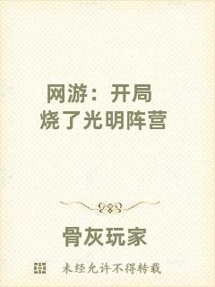 網(wǎng)游：開局燒了光明陣營