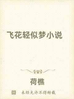 飛花輕似夢(mèng)小說(shuō)