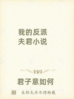 我的反派夫君小說