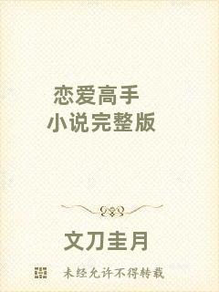 戀愛高手小說完整版