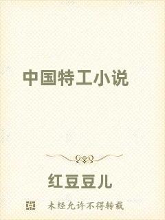中國(guó)特工小說(shuō)