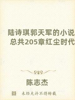 陸詩琪郭天軍的小說總共205章紅塵時(shí)代
