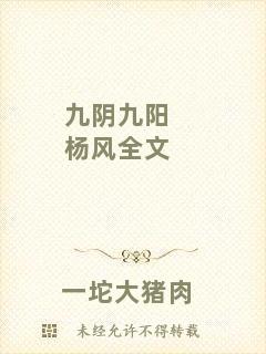 九陰九陽(yáng)楊風(fēng)全文