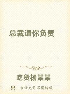 總裁請(qǐng)你負(fù)責(zé)