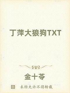 丁萍大狼狗TXT
