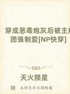 穿成惡毒炮灰后被主角團強制愛[NP快穿]