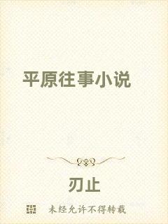 平原往事小說
