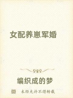 女配養(yǎng)崽軍婚