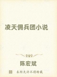 凌天傭兵團(tuán)小說