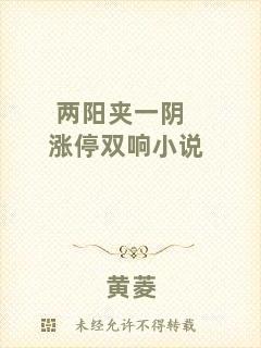 兩陽(yáng)夾一陰漲停雙響小說(shuō)