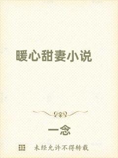 暖心甜妻小說
