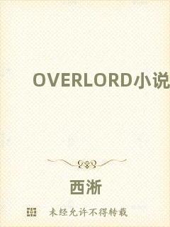 OVERLORD小說(shuō)