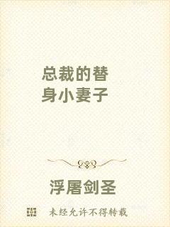 總裁的替身小妻子