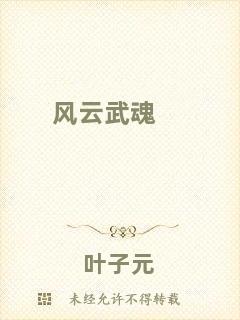 風云武魂