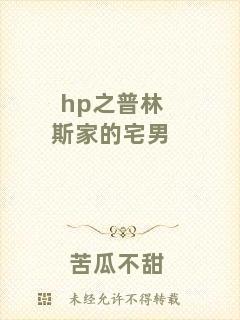 hp之普林斯家的宅男