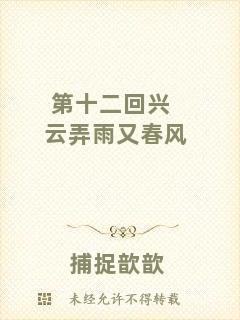 第十二回興云弄雨又春風(fēng)