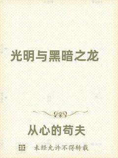 光明與黑暗之龍