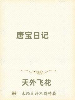 唐寶日記