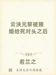 云泱元黎被賜婚給死對頭之后