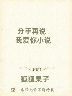 分手再說我愛你小說