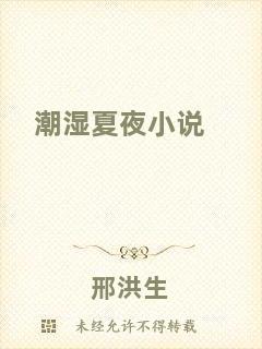 潮濕夏夜小說