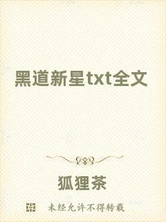 黑道新星txt全文