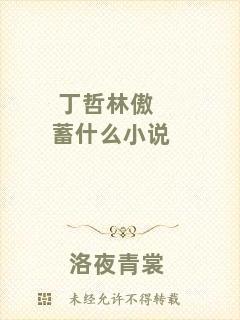 丁哲林傲蓄什么小說(shuō)