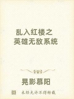 亂入紅樓之英雄無(wú)敵系統(tǒng)
