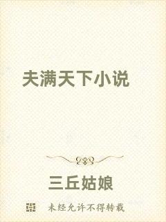 夫滿天下小說