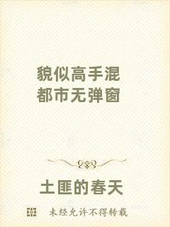 貌似高手混都市無(wú)彈窗