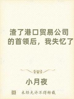 渣了港口貿(mào)易公司的首領(lǐng)后，我失憶了