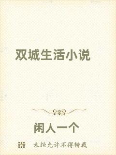 雙城生活小說(shuō)