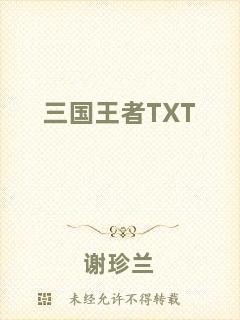 三國王者TXT