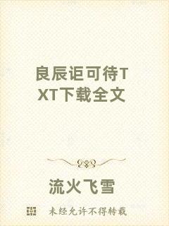 良辰詎可待TXT下載全文