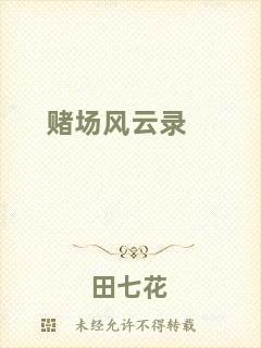 賭場(chǎng)風(fēng)云錄