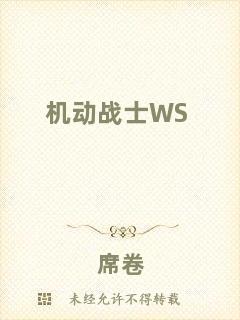 機(jī)動(dòng)戰(zhàn)士WS