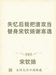 失憶后我把渣攻當(dāng)替身宋欽揚(yáng)謝寒逸