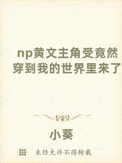 np黃文主角受竟然穿到我的世界里來了