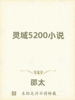 靈域5200小說