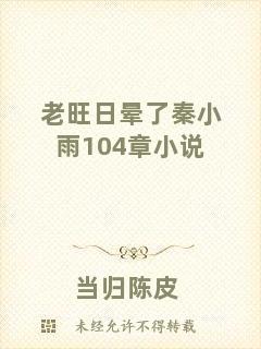 老旺日暈了秦小雨104章小說(shuō)