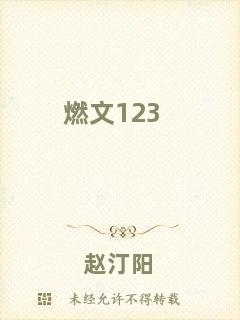 燃文123
