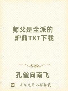 師父是全派的爐鼎TXT下載