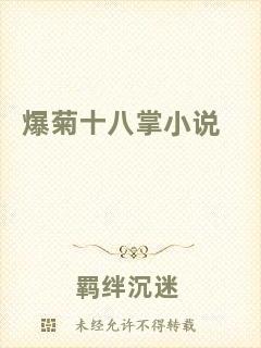 爆菊十八掌小說
