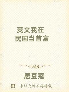 爽文我在民國當(dāng)首富