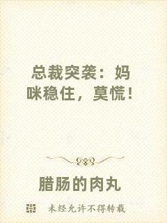 總裁突襲：媽咪穩(wěn)住，莫慌！