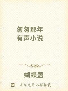 匆匆那年有聲小說