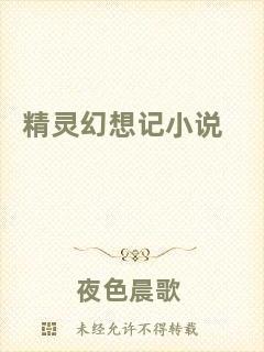 精靈幻想記小說