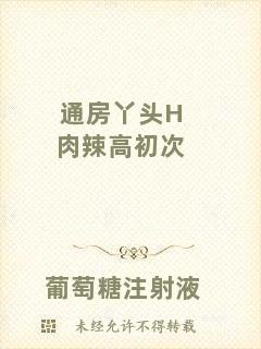 通房丫頭H肉辣高初次