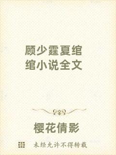 顧少霆夏綰綰小說全文