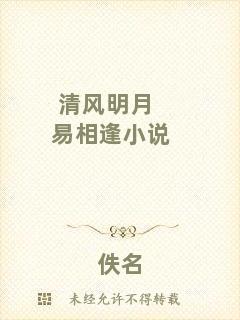 清風(fēng)明月易相逢小說